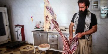 کهگیلویه و بویراحمد